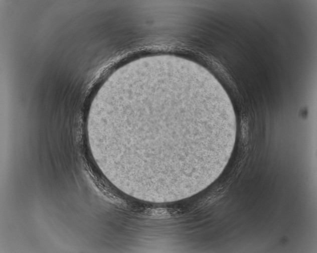 X0000115230588200912111032