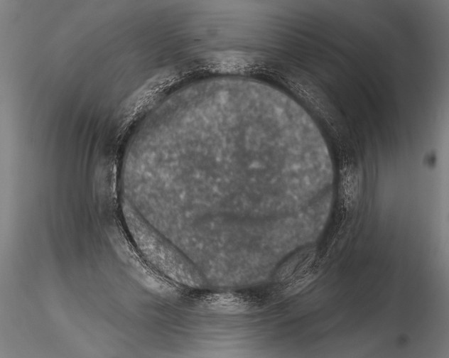 X0000115230589200912111032