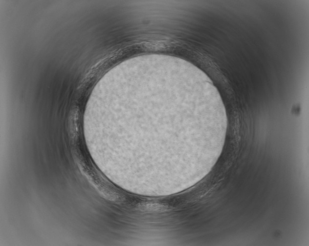 X0000115230590200912111032