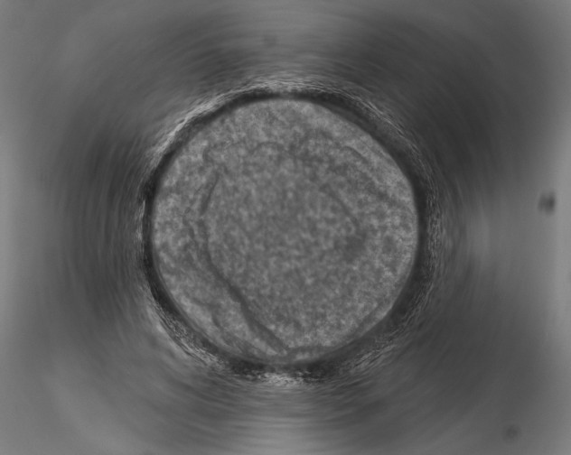 X0000115230592200912111032