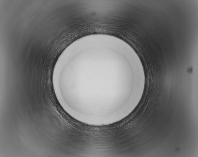 X0000115230593200912111032