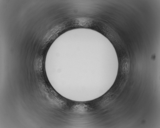 X0000115230595200912111032