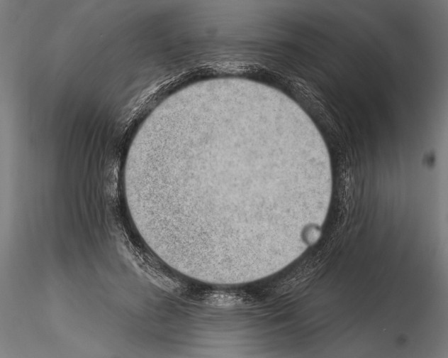 X0000115230596200912111032