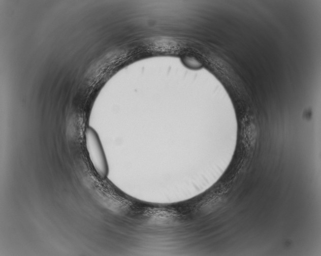 X0000115230597200912111032