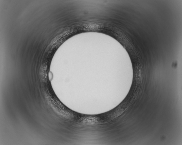 X0000115230599200912111032