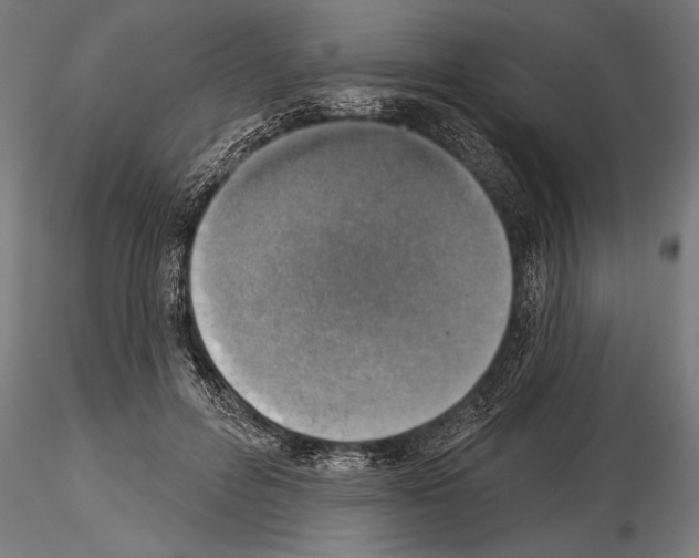 X0000115230600200912111032