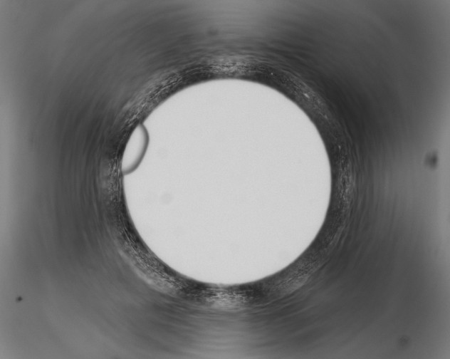 X0000115230601200912111032