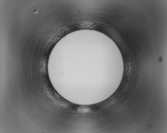 X0000115230602200912111032