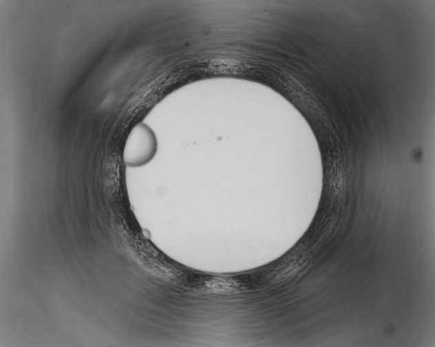 X0000115230603200912111032