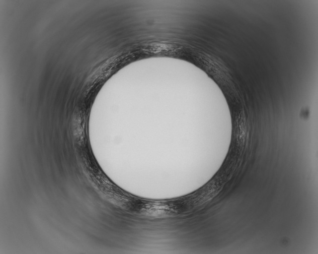 X0000115230607200912111032