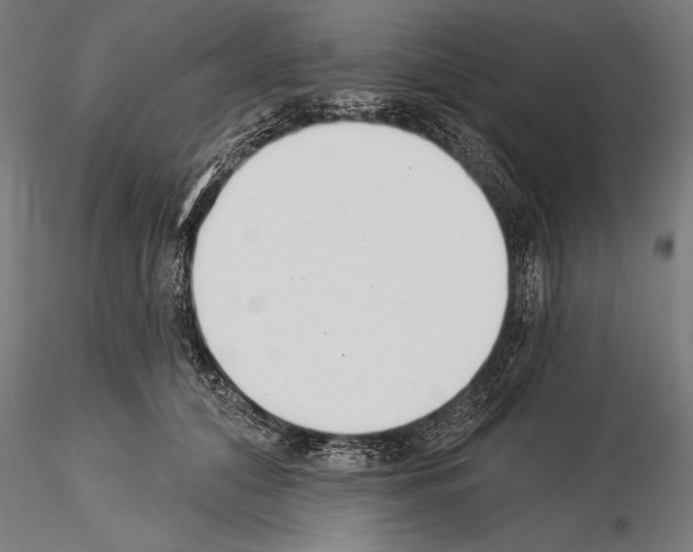 X0000115230608200912111032