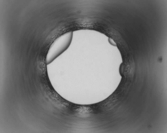 X0000115230609200912111032