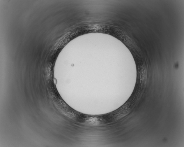 X0000115230611200912111032