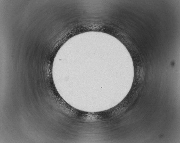 X0000115230612200912111032