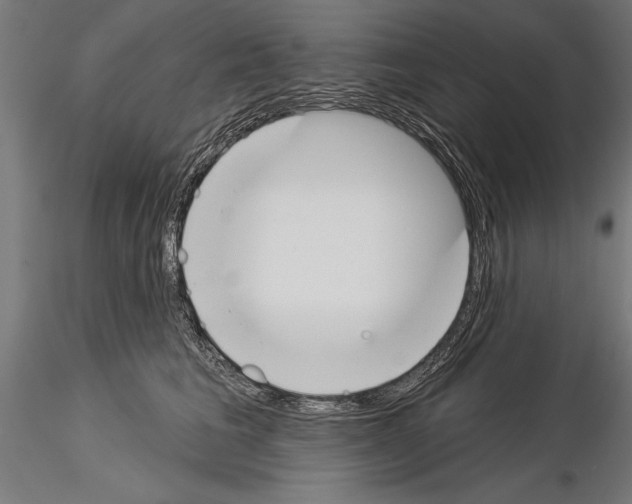 X0000115230613200912111032