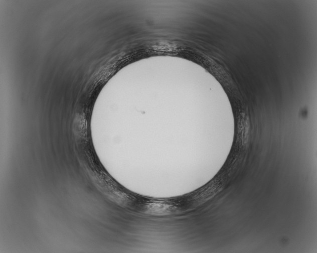 X0000115230614200912111032