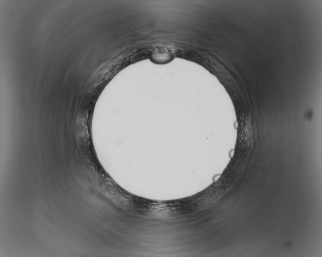 X0000115230616200912111032