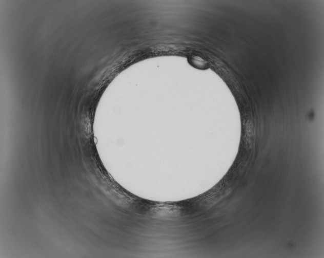 X0000115230617200912111032