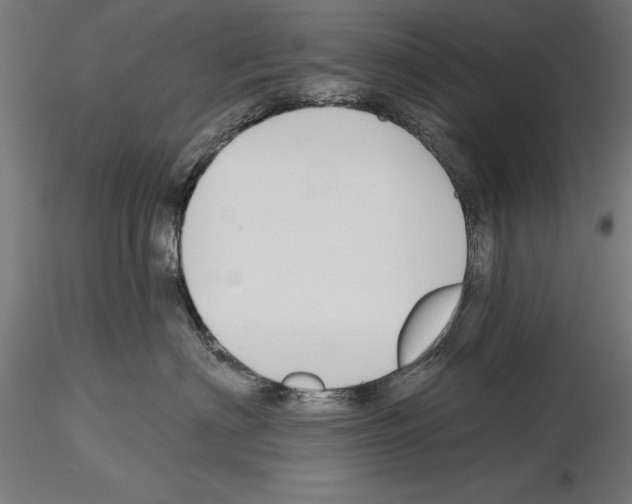 X0000115230622200912111031