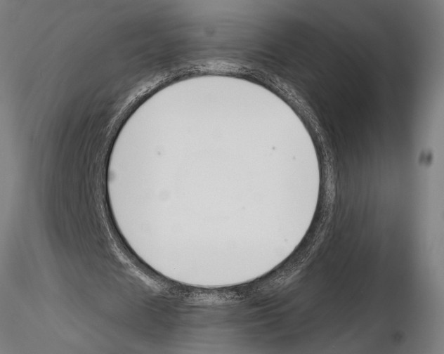 X0000115230625200912111031