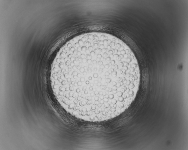 X0000115230626200912111031