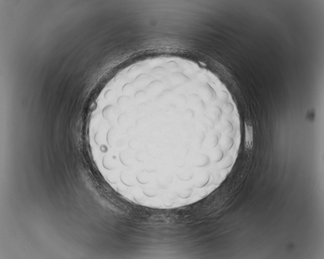 X0000115230627200912111031