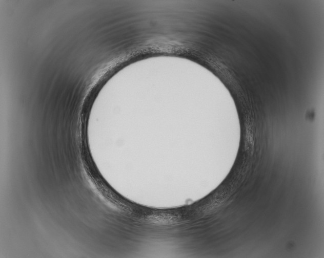 X0000115230630200912111031