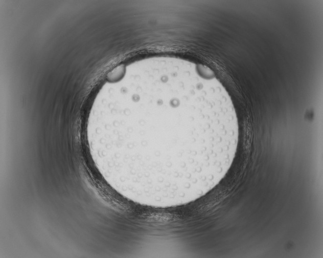 X0000115230631200912111031