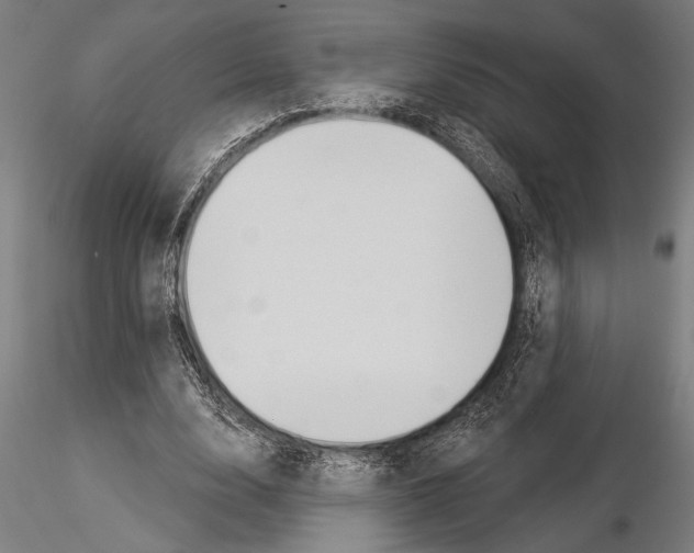 X0000115230632200912111031