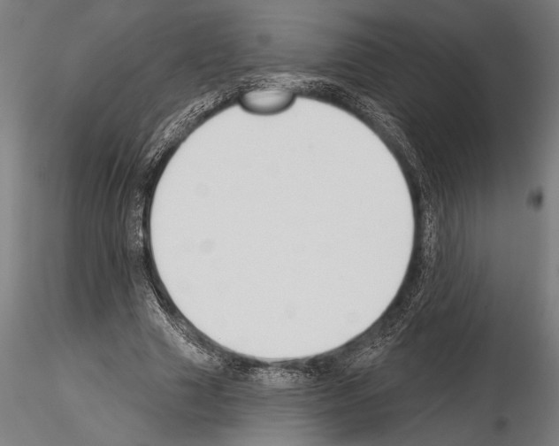 X0000115230633200912111031