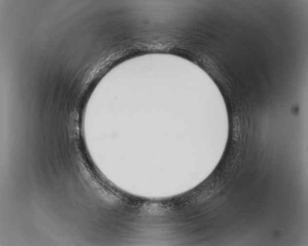 X0000115230634200912111031