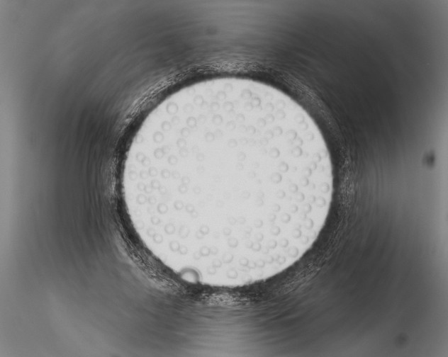 X0000115230635200912111031