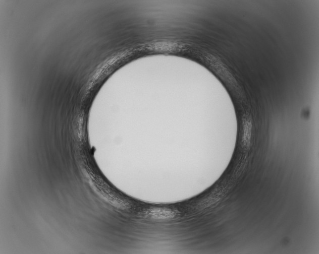 X0000115230636200912111031