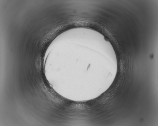 X0000115230637200912111031