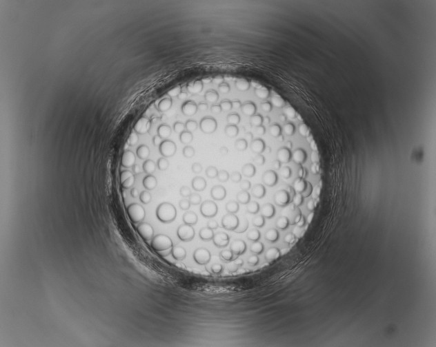 X0000115230638200912111031