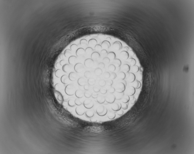 X0000115230639200912111031