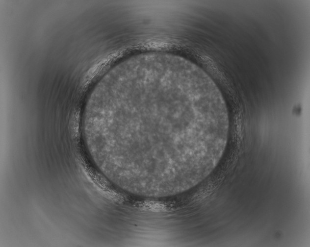 X0000115230640200912111031