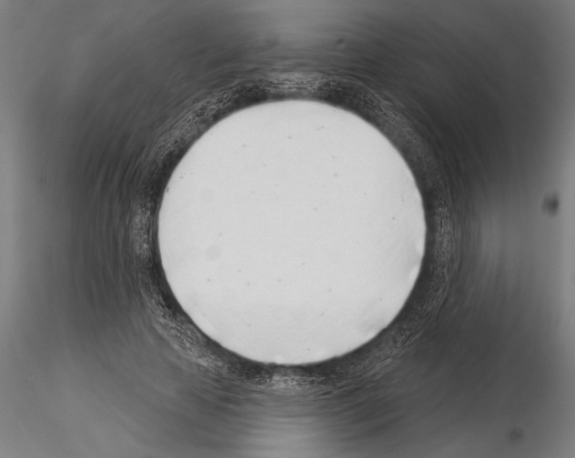 X0000115230641200912111031