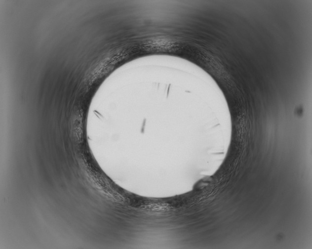 X0000115230642200912111031