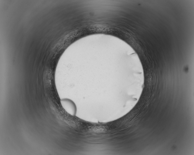 X0000115230643200912111031