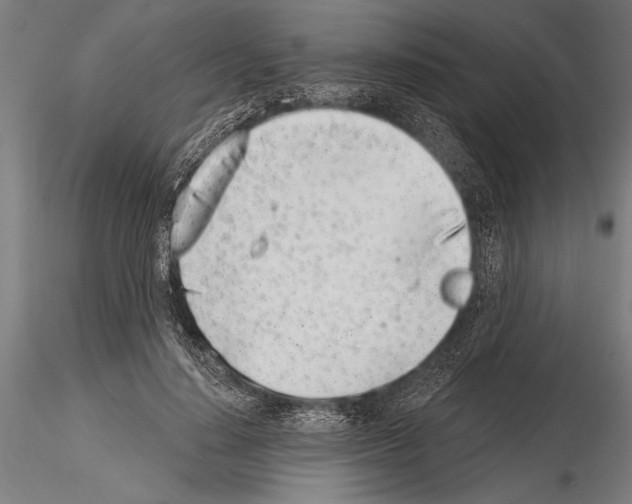 X0000115230644200912111031