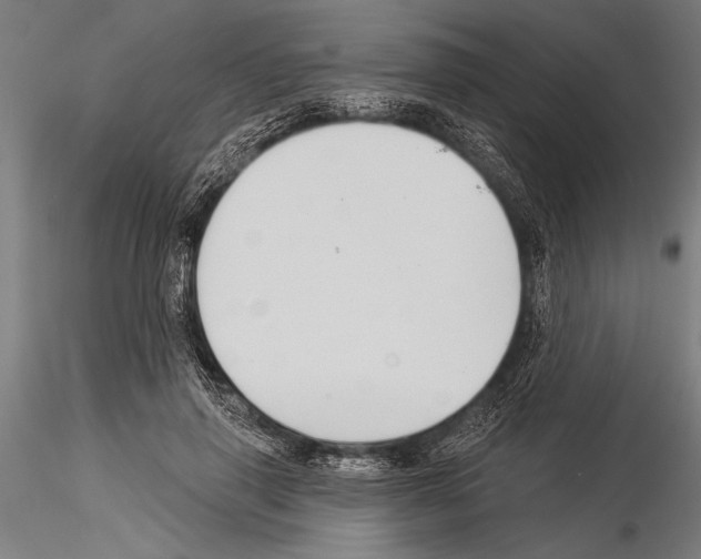 X0000115230645200912111031