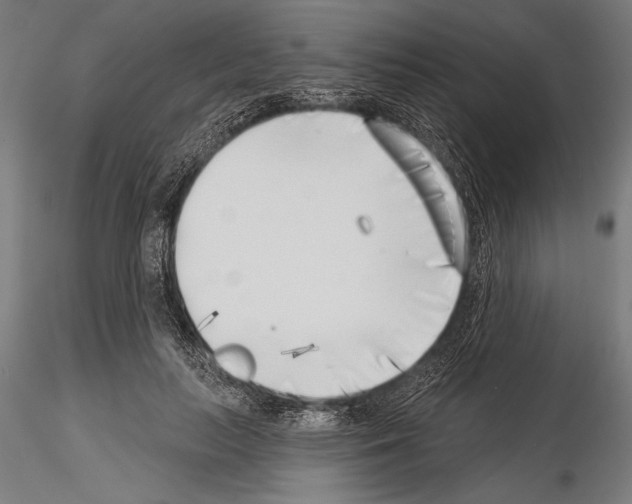 X0000115230647200912111031