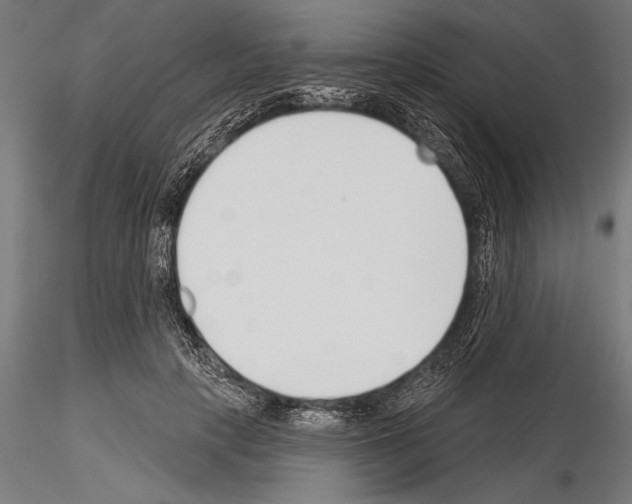 X0000115230649200912111031