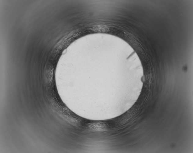 X0000115230652200912111031