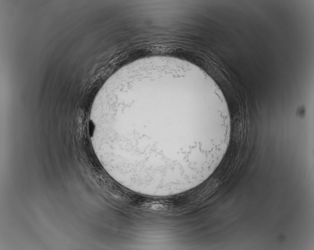 X0000115230655200912111031