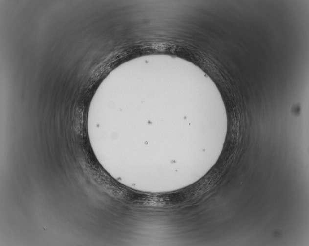 X0000115230656200912111031