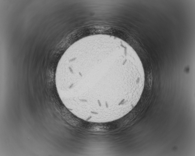 X0000115230657200912111031