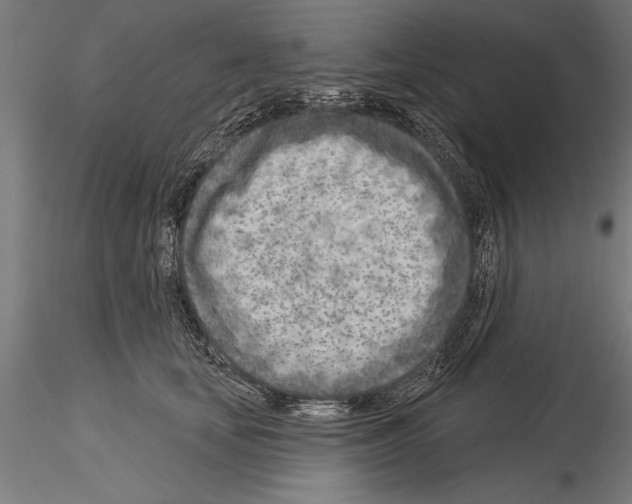 X0000115230659200912111031