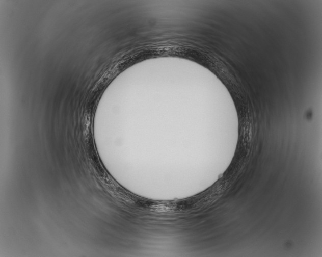 X0000115230660200912111031